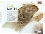 Johann Ludwig Bach: Trauermusik; Motets; Cantatas; Missa brevis