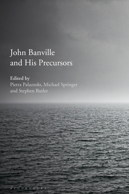 John Banville and His Precursors - Palazzolo, Pietra (Editor), and Springer, Michael (Editor), and Butler, Stephen (Editor)