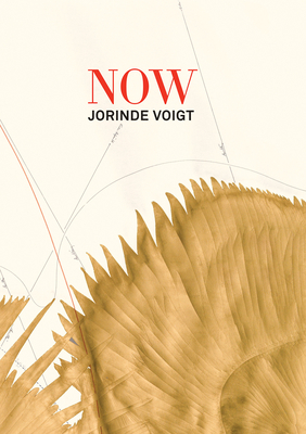 Jorinde Voigt: Now - 