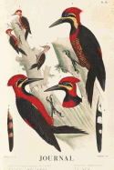 Journal: Pileated Woodpecker Vintage Bird Prints 120 Blank Lined 6x9 College Ruled Pages Journal, Notebook, Diary, Composition Book