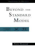 Journeys beyond the standard model