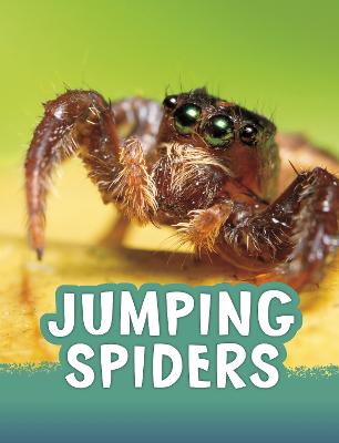 Jumping Spiders - Jaycox, Jaclyn