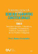 JURISPRUDENCIA SOBRE DERECHOS Y GARANTAS CONSTITUCIONALES. 1930-2023. TOMO II. Derechos sociales, educativos, culturales, econmicos, polticos, ambientales y de los pueblos indgenas