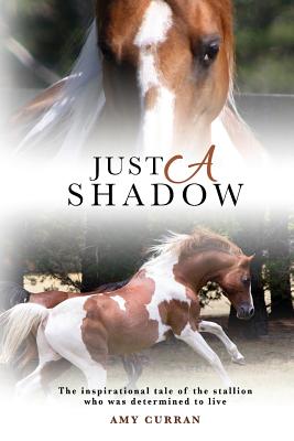 Just A Shadow - Curran, Amy