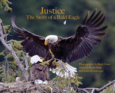 Justice--The Story of a Bald Eagle