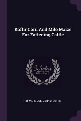 Kaffir Corn And Milo Maize For Fattening Cattle - Marshall, F R, and John C Burns (Creator)
