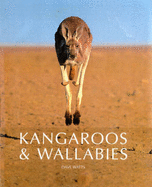 Kangaroos and Wallabies of Australia