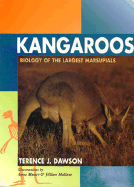 Kangaroos: Biology of the Largest Marsupials