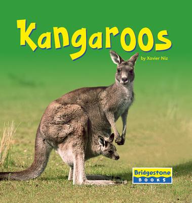 Kangaroos - Niz, Xavier W