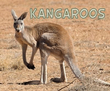 Kangaroos