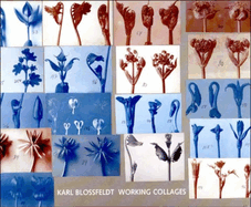 Karl Blossfeldt: Working Collages