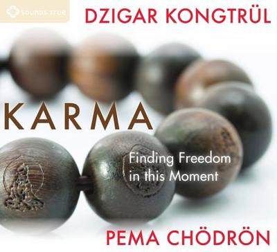 Karma: Finding Freedom in This Moment - Kongtrul, Dzigar, and Chdrn, Pema