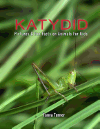 Katydid: Pictures & Fun Facts on Animals For Kids