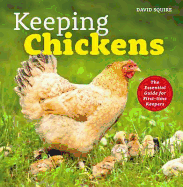 Keeping Chickens: The Essential Guide for First-time Keepers