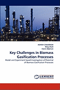 Key Challenges in Biomass Gasification Processes