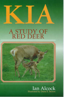 Kia: Study of Red Deer - Alcock, Ian