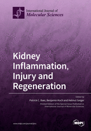 Kidney Inflammation, Injury and Regeneration