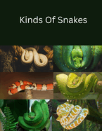 Kinds Of Snakes