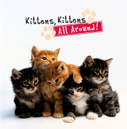 Kittens, Kittens All Around!