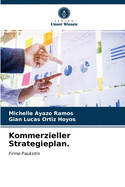 Kommerzieller Strategieplan.