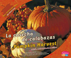 La Cosecha de Calabazas/Pumpkin Harvest