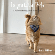 La gatita Bob - nio beb libro prekinder Jardn infantil nia