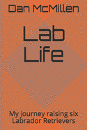 Lab Life: My journey raising six Labrador Retrievers