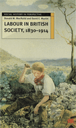 Labour in British Society, 1830-1914