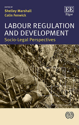 Labour Regulation and Development: Socio-Legal Perspectives - Marshall, Shelley (Editor), and Fenwick, Colin (Editor)