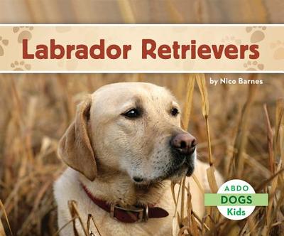 Labrador Retrievers - Barnes, Nico