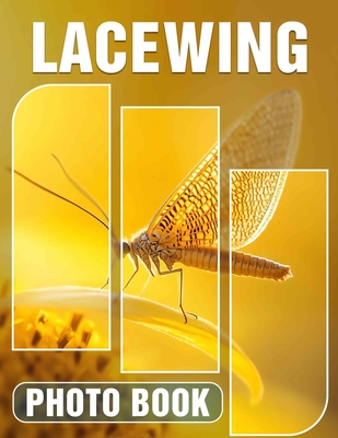 Lacewing Photo Book: Explore Vibrant Nature Through 40 Stunning Images Of Lacewing Insects And Their Habitat - Bonilla, Teddy