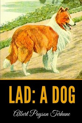 Lad: A Dog - Payson Terhune, Albert