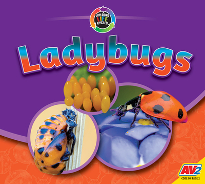 Ladybugs - Carr, Aaron