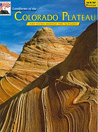 Landforms of the Colorado Plateau: The Story Behind the Scenery