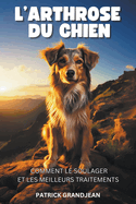 L'arthrose du chien: Comment le soulager et les meilleurs traitements