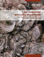 Late Ordovician Articulate Brachiopods: From the Red River and Stony Mountain Formations, Southern Manitoba