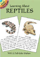 Learning about Reptiles