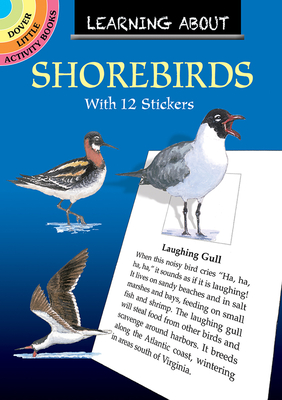 Learning about Shorebirds - Barlowe, Sy