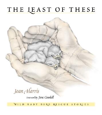 Least of These: Wild Baby Bird Rescue Stories - Harris, Joan