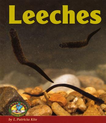 Leeches - Kite, L Patricia