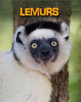 Lemurs - Throp, Claire
