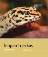 Leopard Gecko - Pet Expert: Understanding and Caring for Your Pet