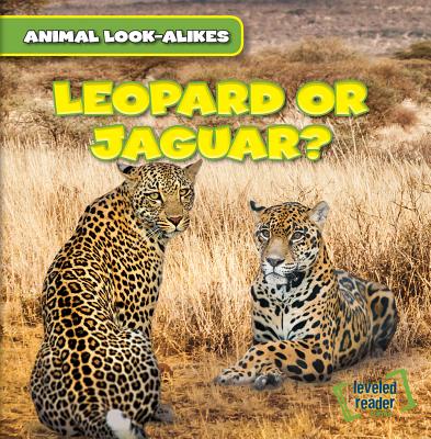 Leopard or Jaguar? - Ryndak, Rob