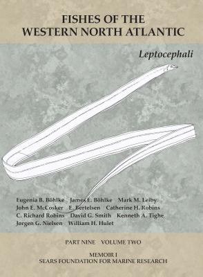 Leptocephali: Part 9, Volume 2 - Bhlke, Eugenia B, and Bhlke, James E, and Leiby, Mark M