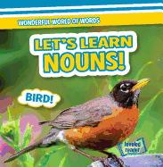 Let's Learn Nouns!