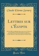 Lettres Sur l'gypte: O l'On Offre Le Parallle Des Moeurs Anciennes Et Modernes de Ses Habitans, O l'On Dcrit l'tat, Le Commerce, l'Agriculture, Le Gouvernement Du Pays, Et La Descente de S. Louis  Damiette, Tire de Joinville Et Des Auteurs