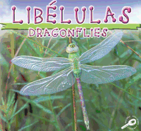 Libelulas (Dragonflies)