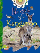 Life Cycle of a Kangaroo: Key stage 1