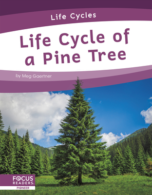 Life Cycle of a Pine Tree - Gaertner, Meg