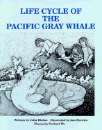 Life Cycle of Pacific Grey Whale